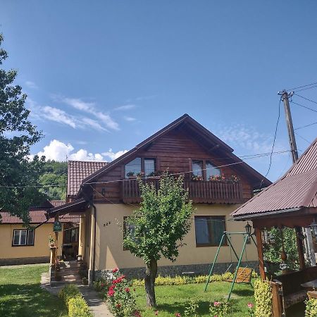 Pensiunea Ghita Vasile Vadu Izei Exterior photo
