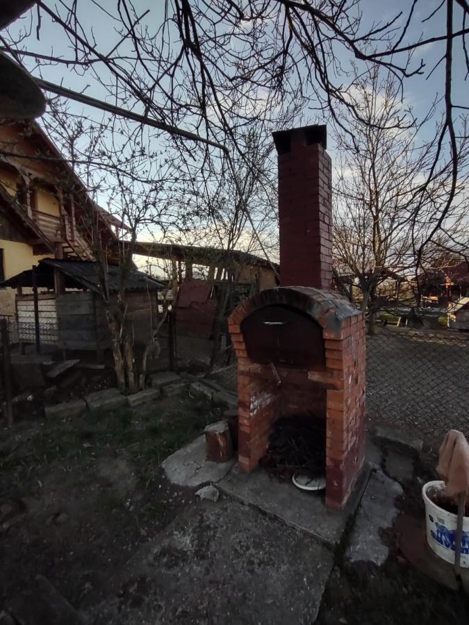 Pensiunea Ghita Vasile Vadu Izei Exterior photo