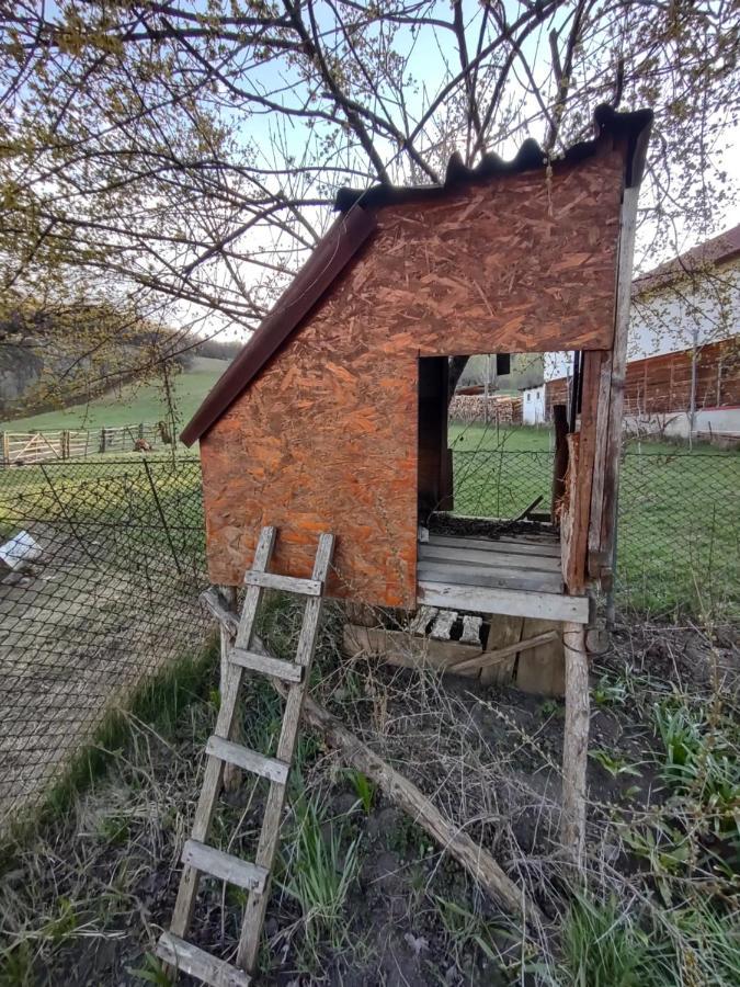 Pensiunea Ghita Vasile Vadu Izei Exterior photo