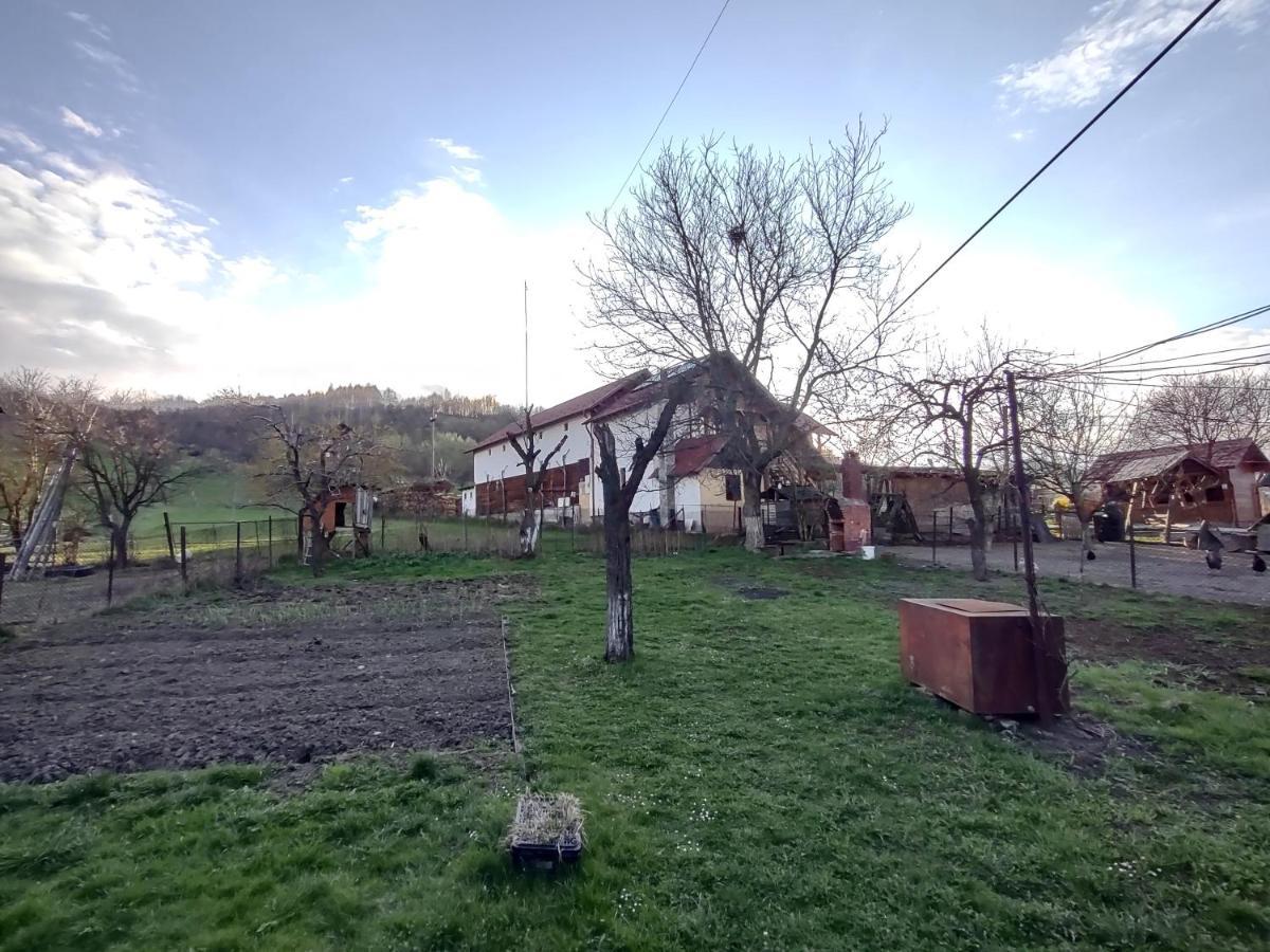Pensiunea Ghita Vasile Vadu Izei Exterior photo